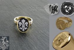 Verschiedene Reliefgravuren in Gold und Lagenonyx.