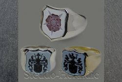 Siegelring Nr. 305 (Steingröße ca.14x13mm)